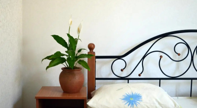 Номер Deluxe Guest House on Kabardinskaya 107