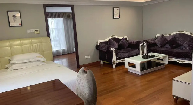 Люкс Deluxe YOYO International Apartment