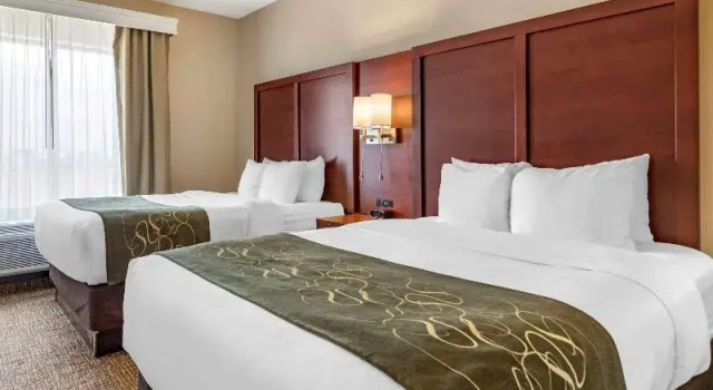 Четырёхместный люкс Comfort Suites Kyle