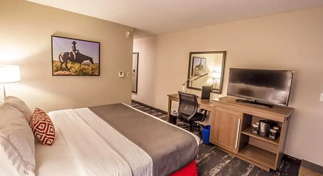 Номер Standard Canalta Hotel Cochrane