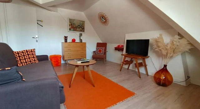 Апартаменты Appartement Vintage avec vue sur le château