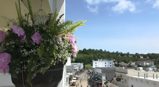 Номер Luxury Lilac Tree Suites