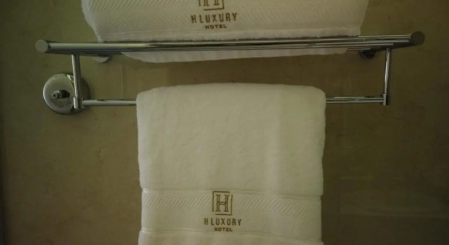 Standard- værelse H Luxury Hotel