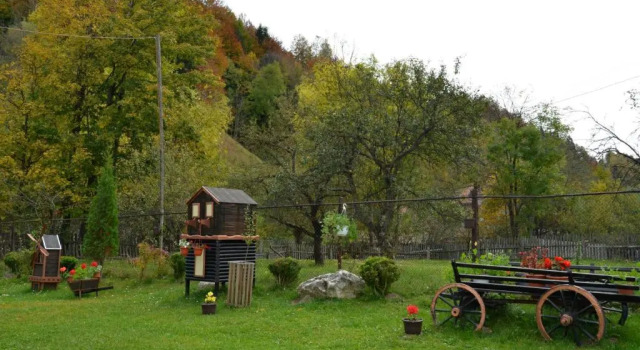 Bucuria Muntelui, Rezervovat Hotel Hotely v Prahova Valley s parkováním, Parkování