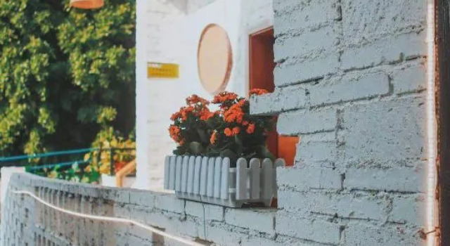Xing xiu Homestay