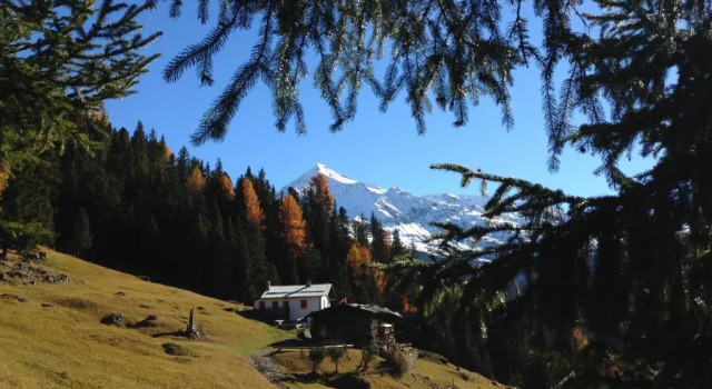 Шале Chalet Del Bosco
