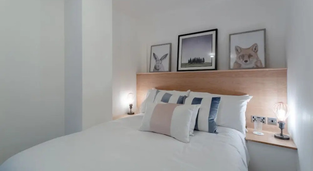 Godson Street Stylish Apartment