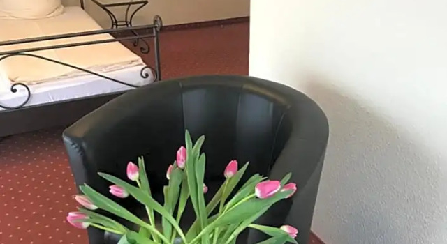 Номер Comfort Hotel am Wallgraben