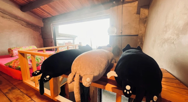 Семейное бунгало с видом на океан Jiufen Little Meow Homestay