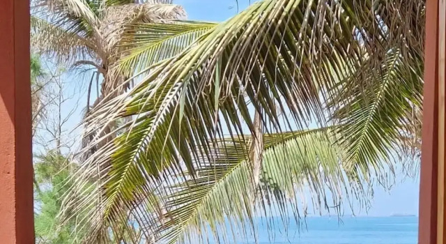 Двухместный номер Standard New Robinson Plage