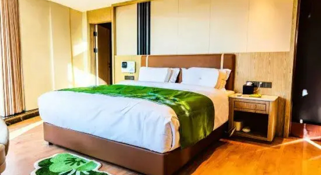 Люкс Deluxe Litang LHA GYAL GORY HOTEL