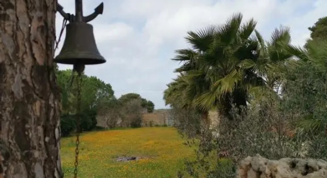 La Casa Nella Pineta - Gallipoli