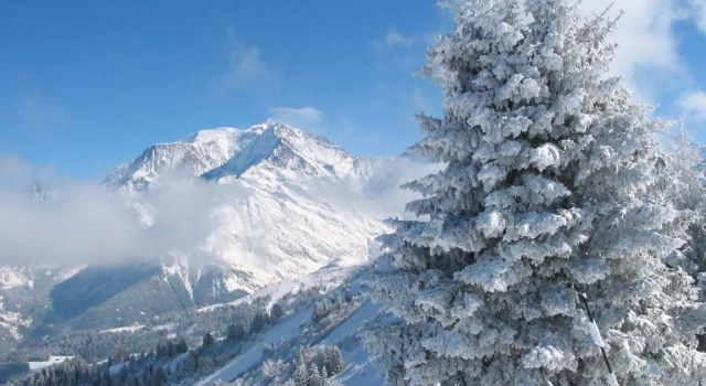 Апартаменты GERFAUD Appartements en chalet
