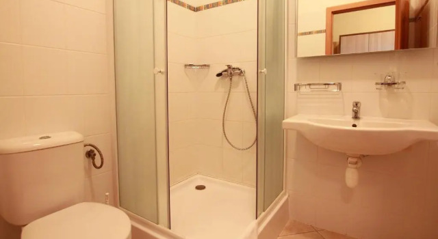 Номер Standard CORNER HOTEL U DIVADLA*** - ZNOJMO