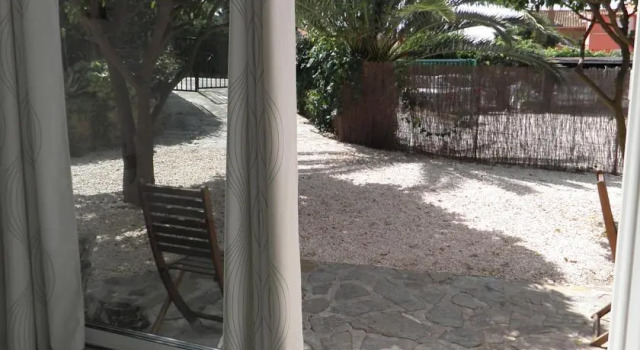 Le Pin Parasol
