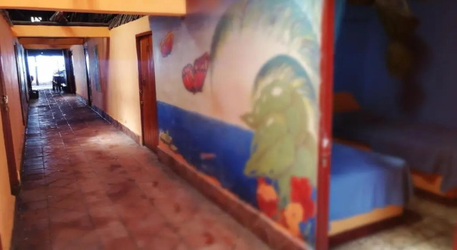 Номер Standard Hotel El Delfin