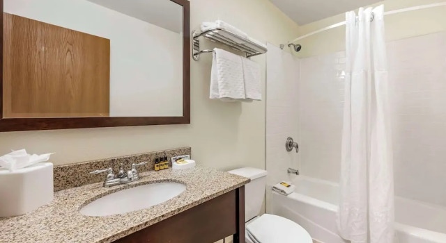 Suite Eagle Lodge and Suites