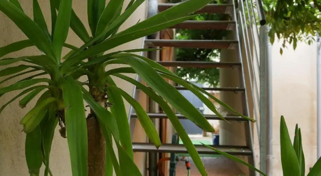 L'Esprit Loft, Rezerwuj Hotel  