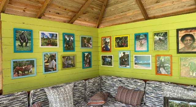 Aventura Rincon Ecolodge