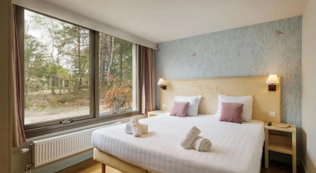 Коттедж Premium Center Parcs Les Hauts de Bruyères