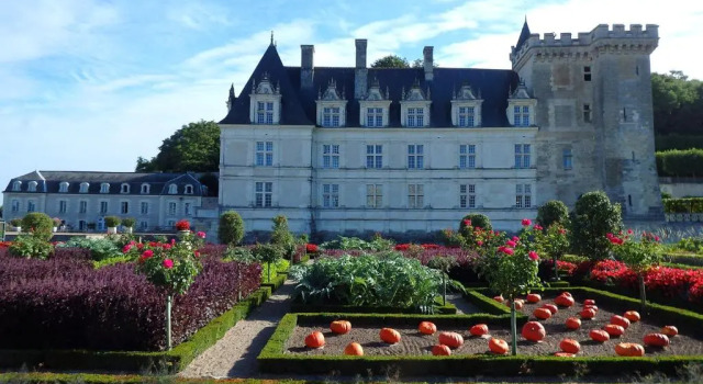 Коттедж Gite La Roselière Touraine