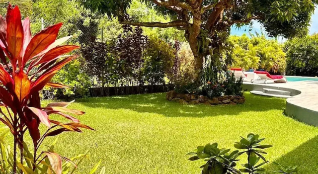Вилла Bora - Villa Reva Luxury