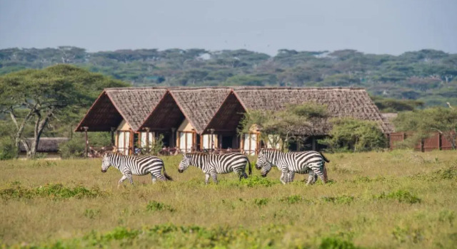 Люкс Lake Ndutu Luxury Tented Lodge