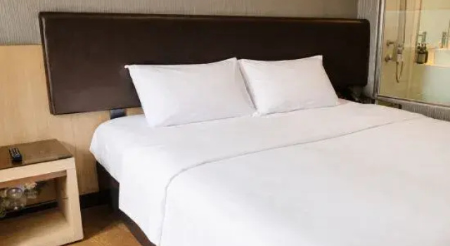 Executive Doppel Zimmer Amrise Hotel Kitchener