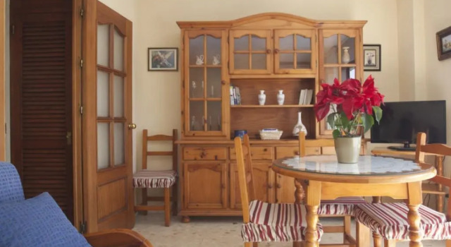Apartment in Malaga 101679