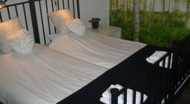 Hotel restaurant Buxus, Rezerwuj Hotel Gasselte Drenthe
