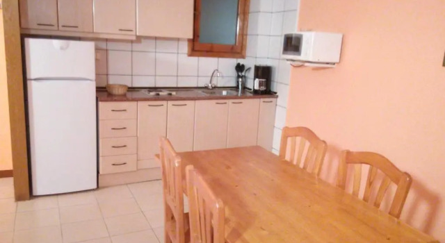 Апартаменты c 1 комнатой Apartaments Els Avets
