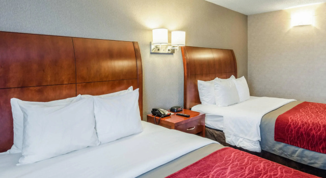 Четырёхместный номер Standard Comfort Inn & Suites West Springfield