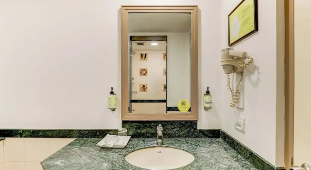 Двухместный номер Deluxe Lemon Tree Hotel, Ahmedabad