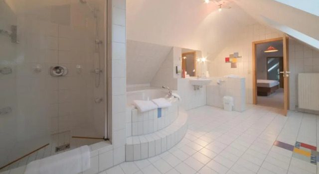 Люкс Hotel am Wasen