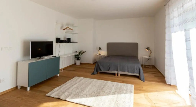 Студия Flataid Apartmenthaus Brauhausstrasse