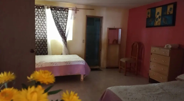 Nice Apartment Near The Center Ground Floor, Book Lejlighed Lejligheder i State of Puebla, Lejlighed