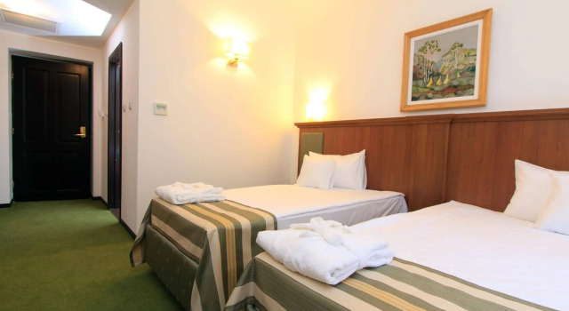 Hotel Palace, Varaa Hotelli Hotellit Carpathians - Romania uima-altaalla, Uima-allas