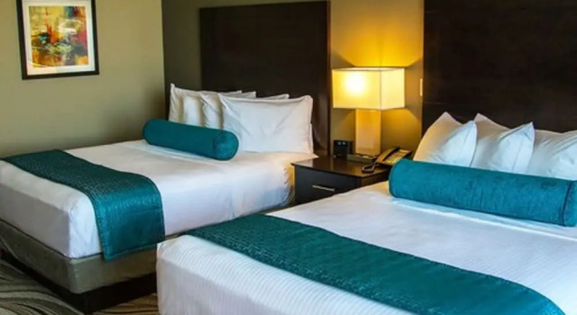Четырёхместный номер Standard River Bend Casino & Hotel