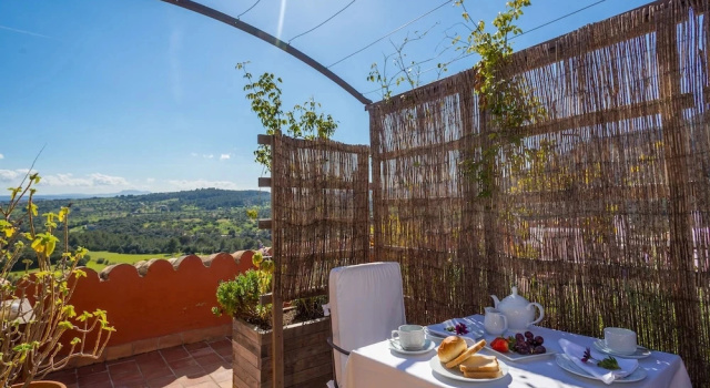 Номер Premium Finca Es Castell