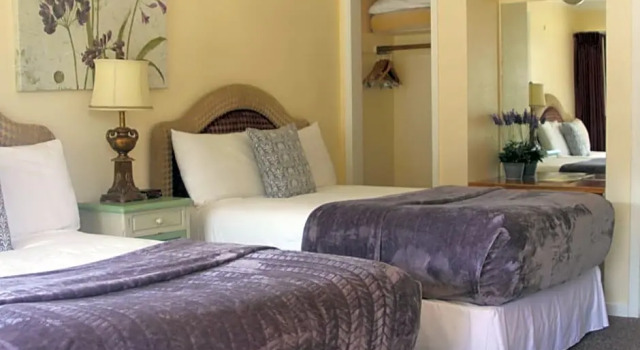 Номер Standard Peach Tree Inn