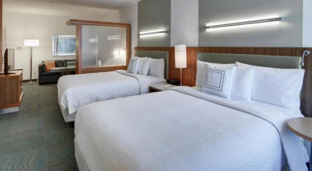 Двухместная студия SpringHill Suites by Marriott Dallas Plano/Frisco