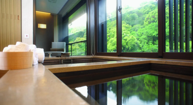 Двухместный номер Deluxe Grand View Resort Beitou