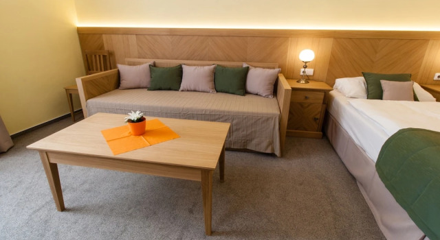 Номер Standard Karlova 25 Apartments