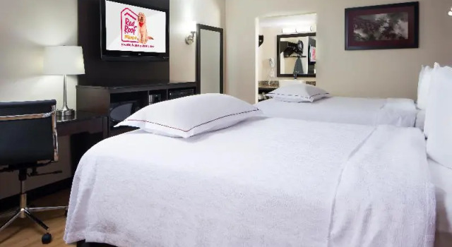 Номер Standard Red Roof Inn PLUS+ Birmingham East   Irondale/Airport