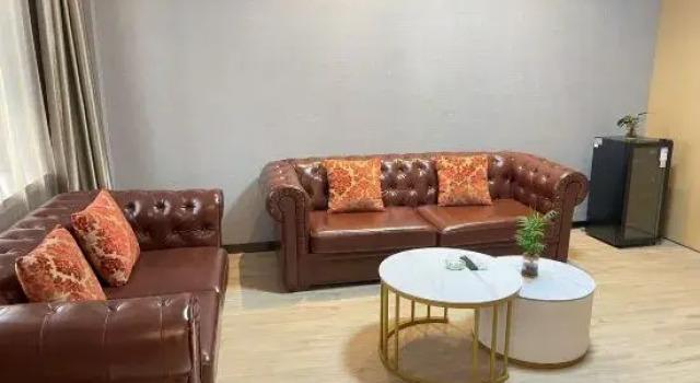 Люкс Deluxe Vienna Classic Hotel (Hefei Shushan)