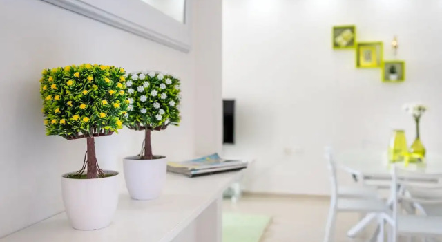 Full Option 7 people, Varaa Hotelli Jerusalem Jerusalem District