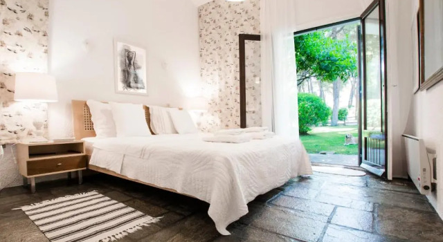 Villa Irini in Sani