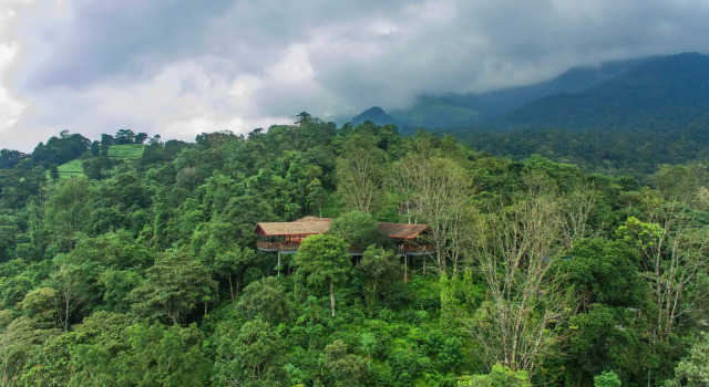 Vythiri Mist Resort