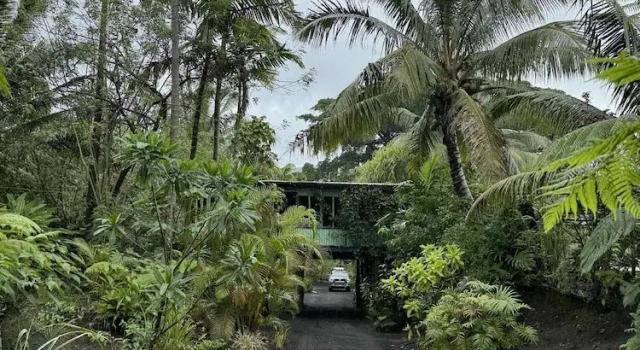 Jungle Oasis, Réserver Hôtel Hôtels et hébergements à Tanna, Hôtel