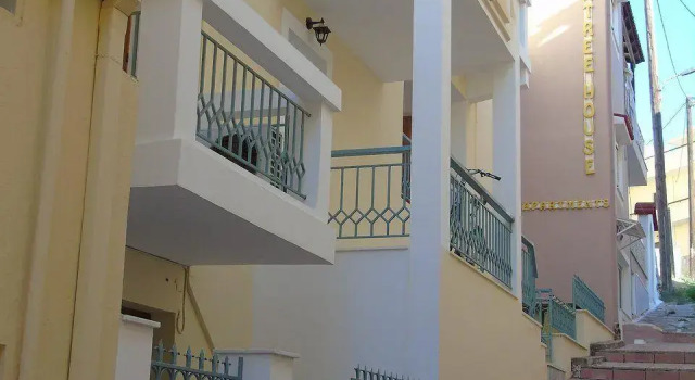 Lemon Tree House